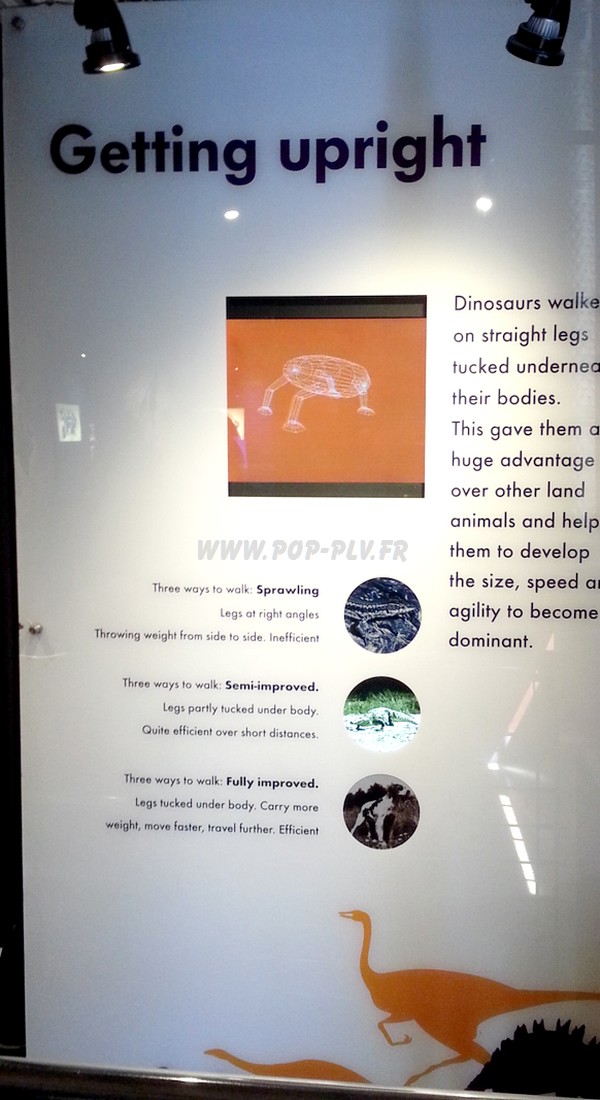 média player - écran Lcd inséré dans un mur d'exposition de Musée  LCD média player, évolution ou révolution ? MUSEE